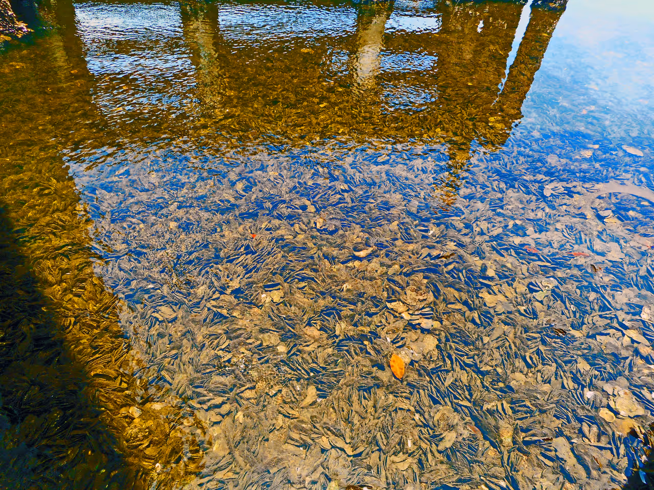 Oleta river state park, Miami