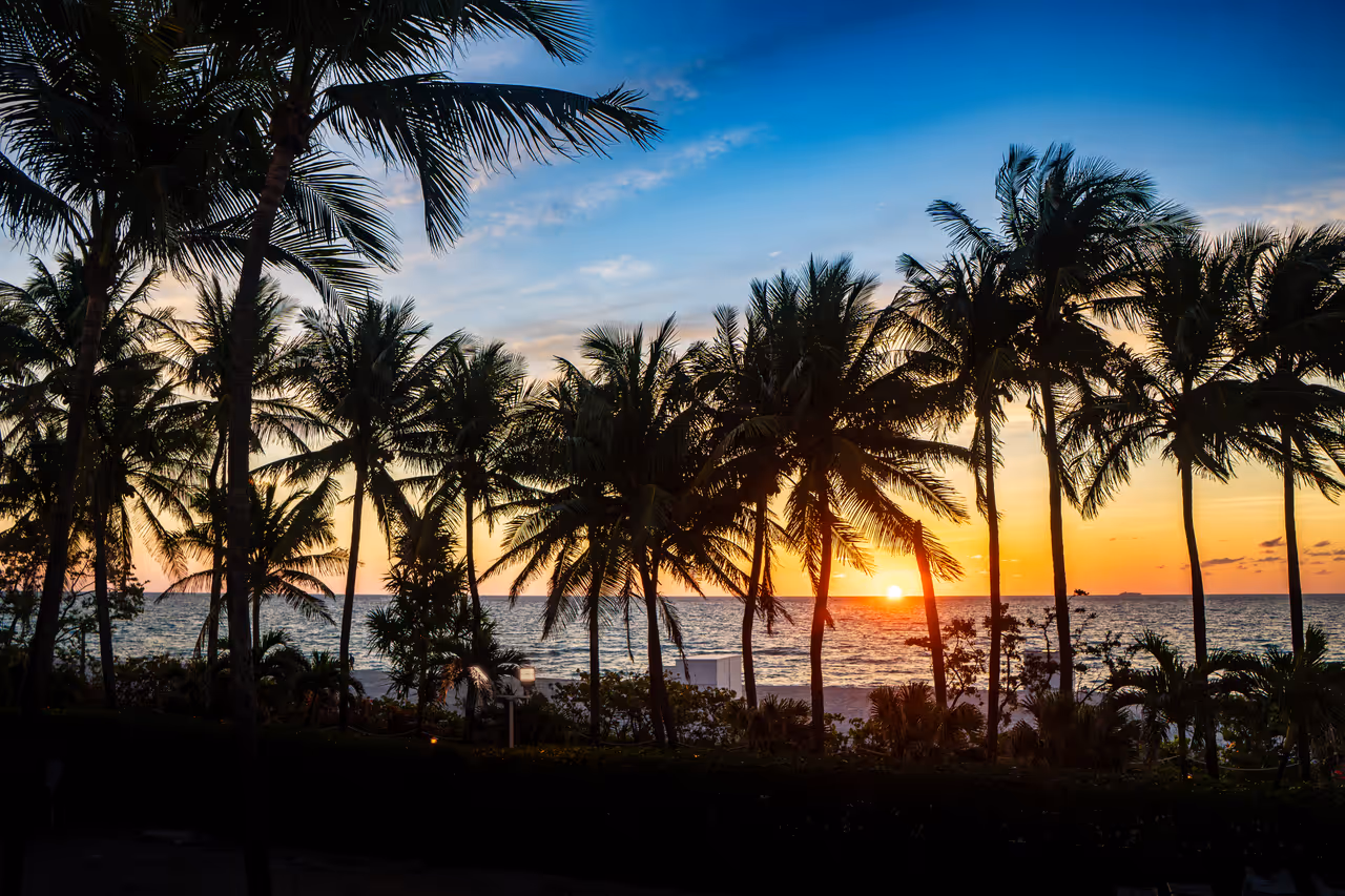 Spring highlight, Miami
