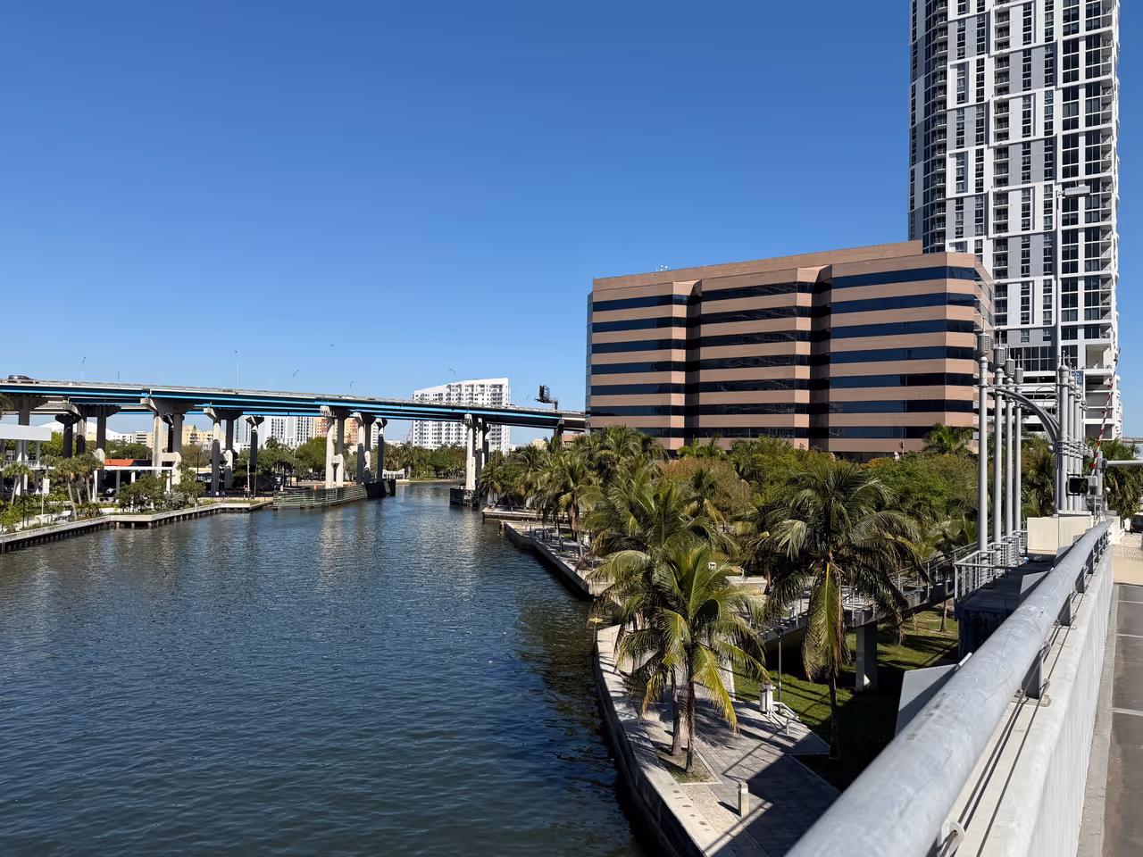 Spring highlight, Miami