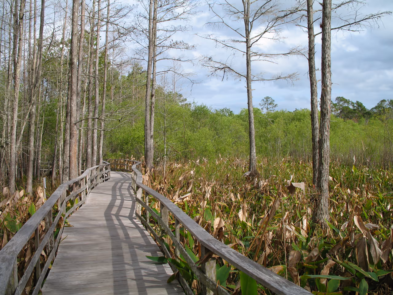 Everglades national park, Miami