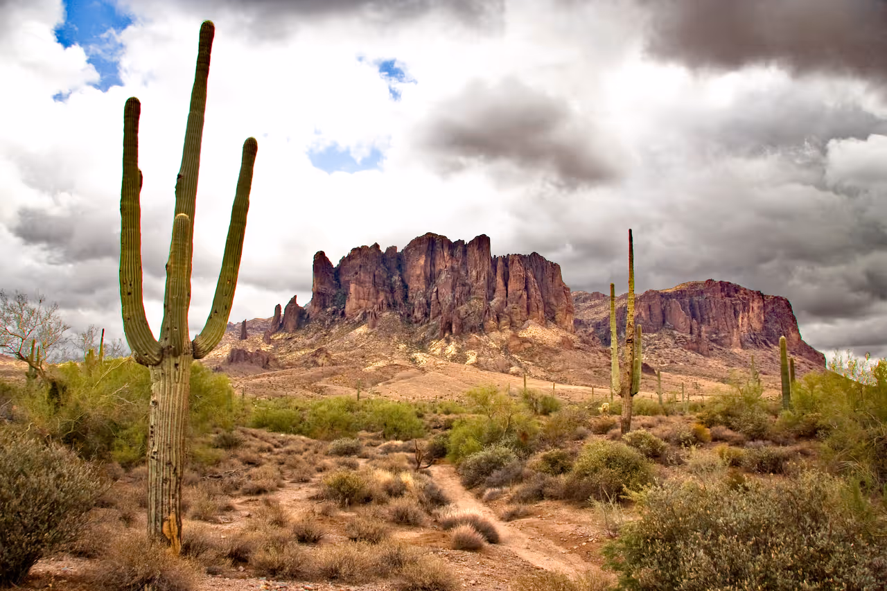 Mountain biking in Phoenix