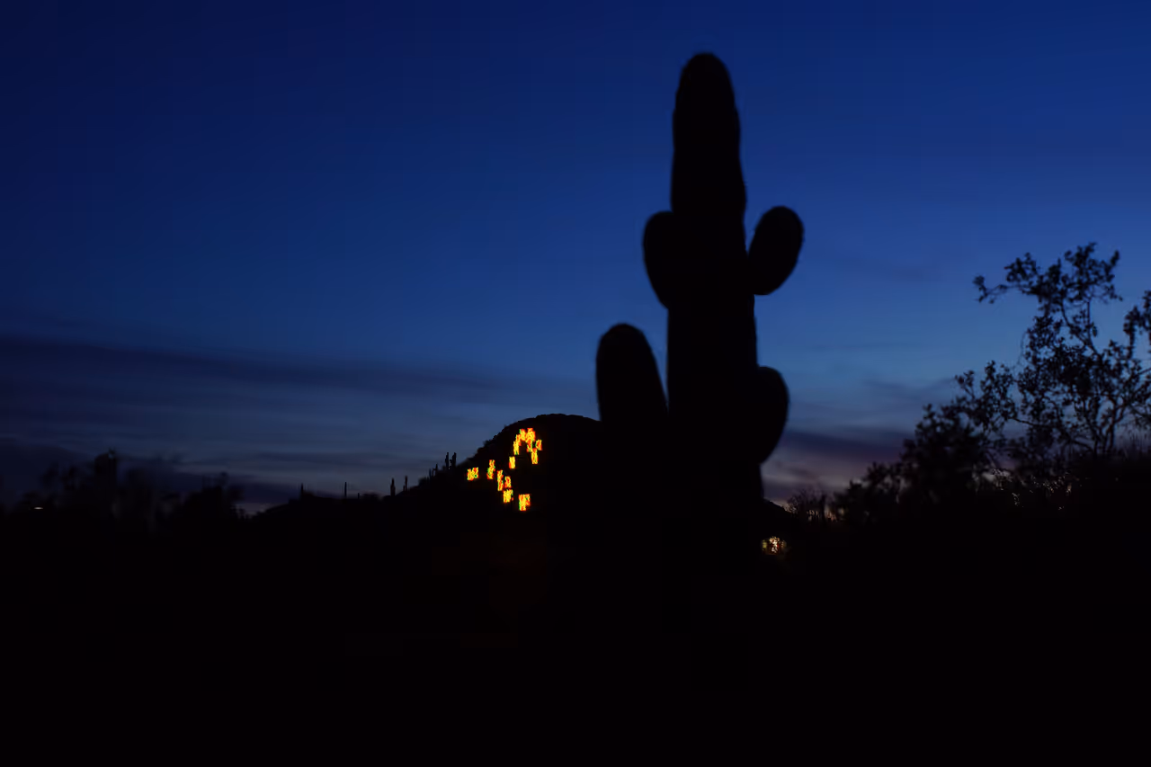Desert botanical garden in Phoenix