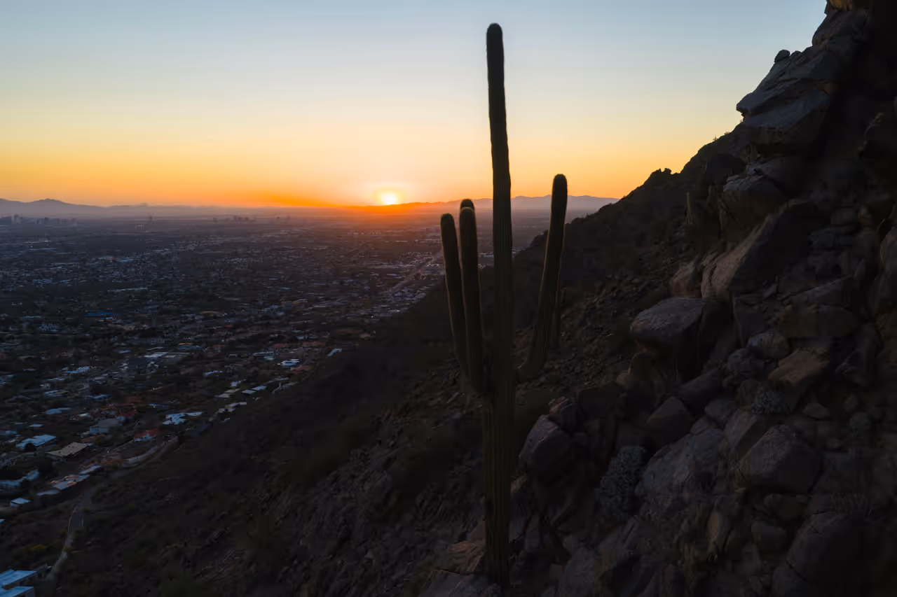Saguaro cactus on the slopes of Camelback Mountain at sunset, overlooking Phoenix, Arizona.