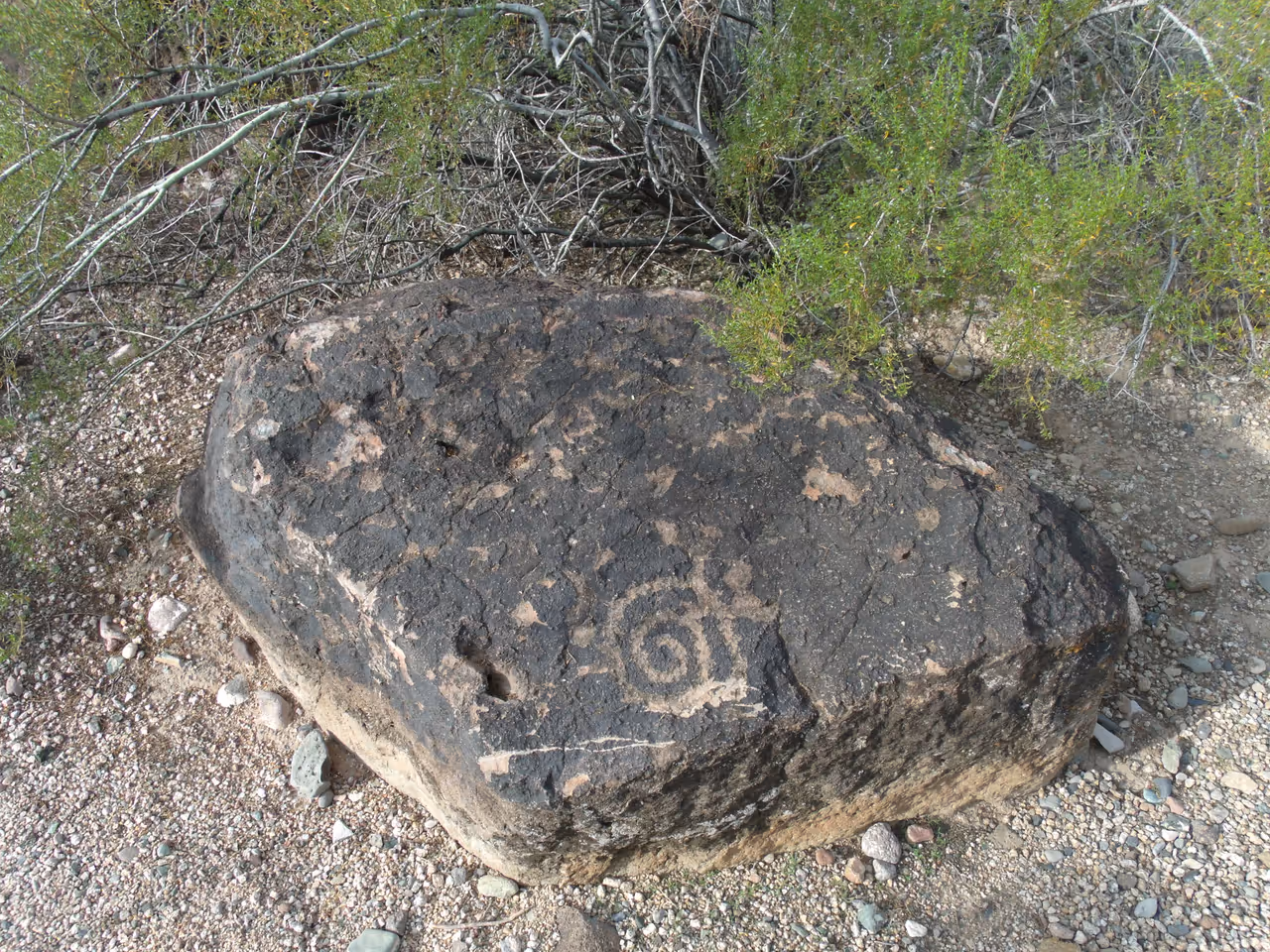 Deer valley petroglyph preserve in Phoenix