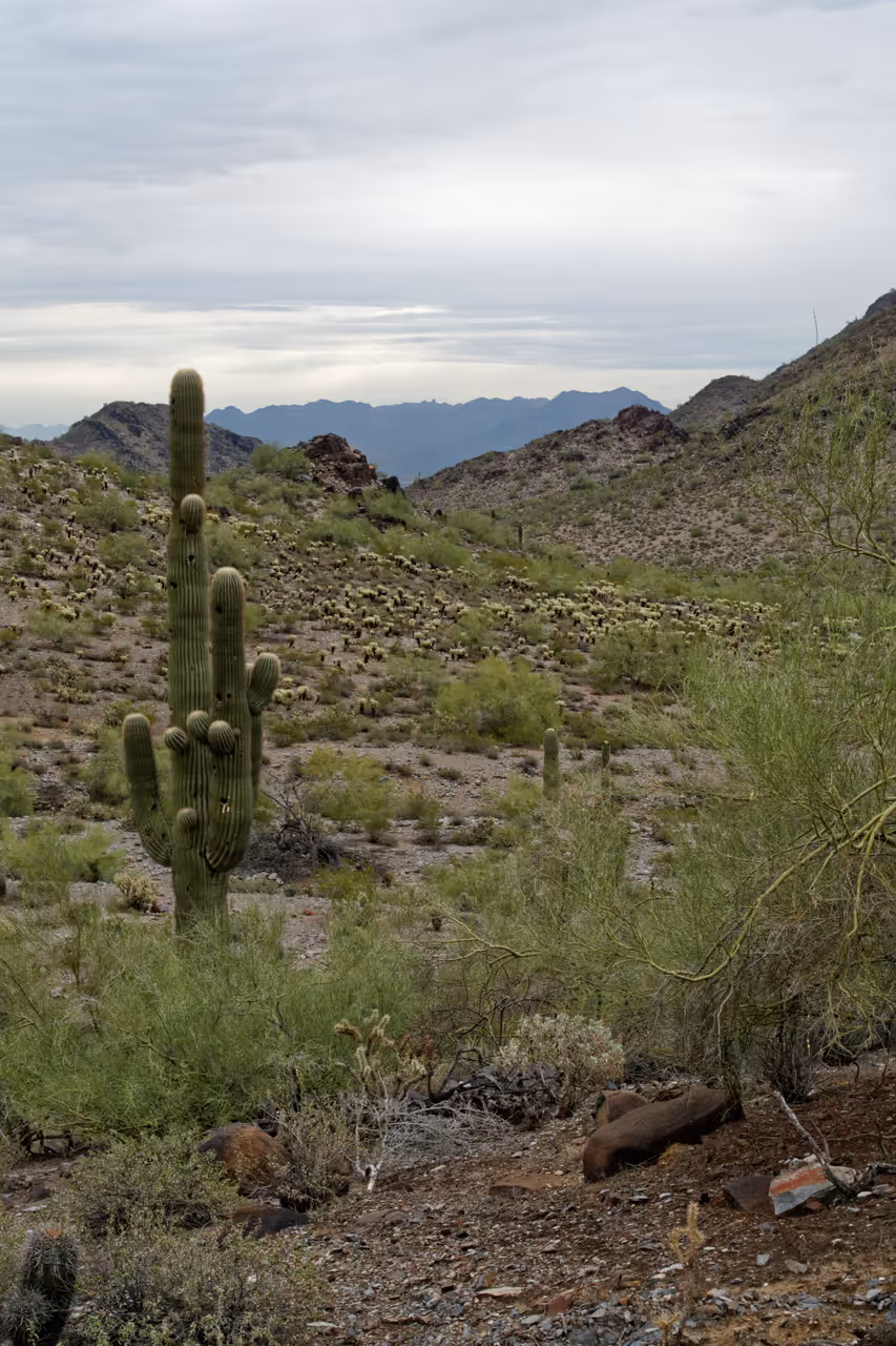Hike the  mountains preserve in Phoenix