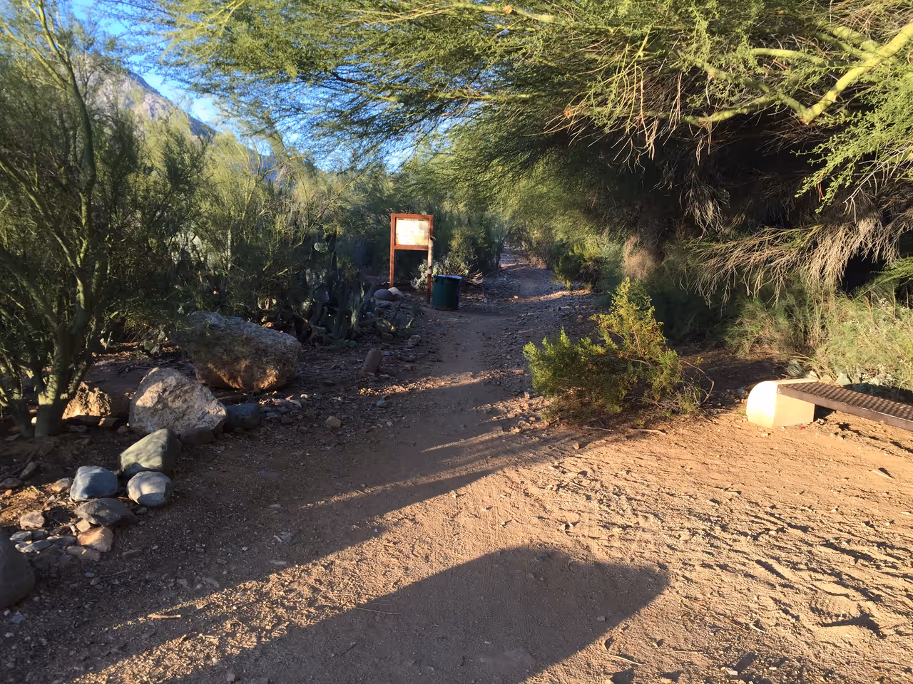 Hike the  mountains preserve in Phoenix