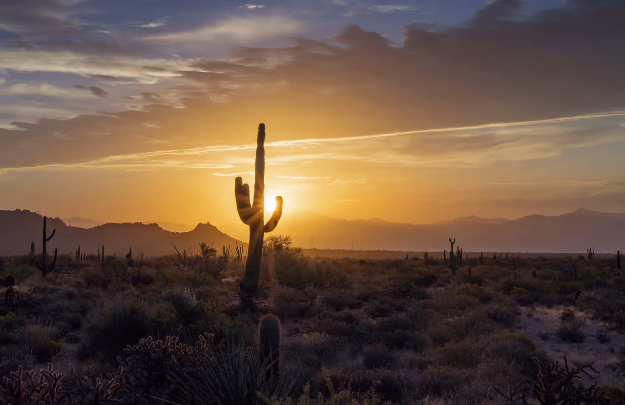 Summer highlight in Phoenix