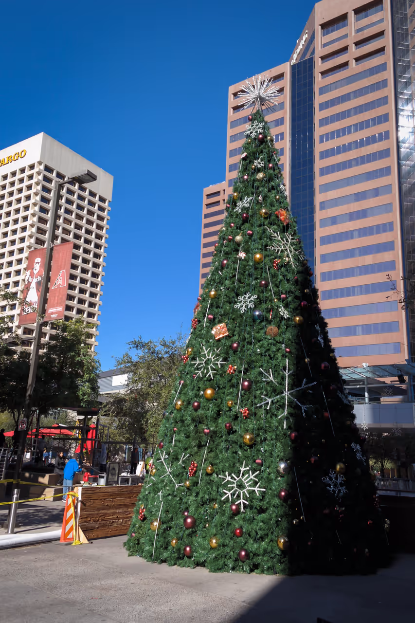 Winter highlight in Phoenix