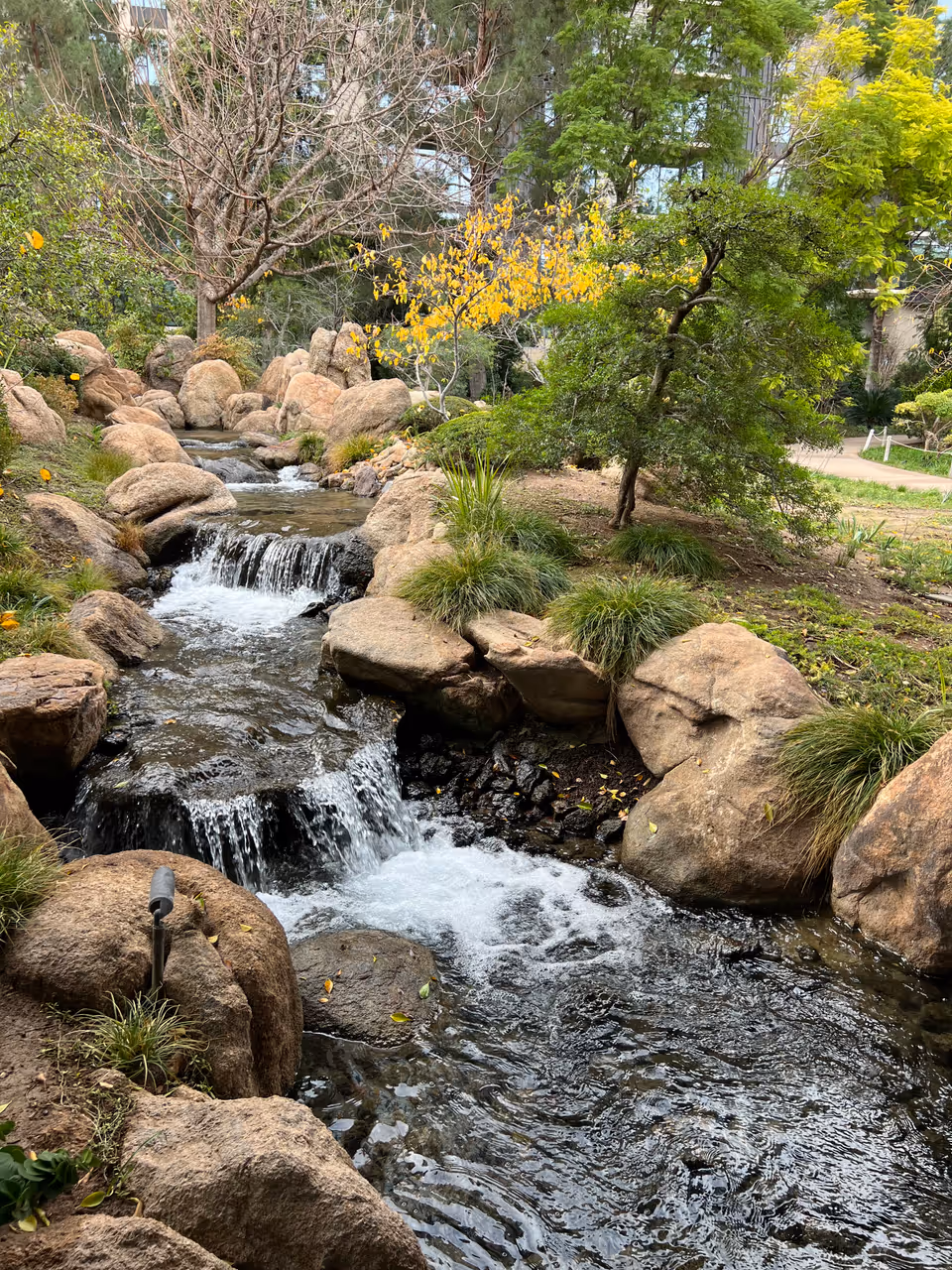 Inside the Japanese friendship garden stroll in Phoenix, showing small rocks and water